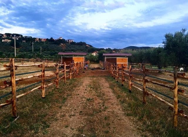 Agriturismo Quattro Pini Castagneto Carducci Exterior photo